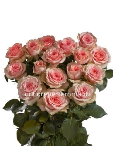 Rose di colore rosa da comporre con numero di steli