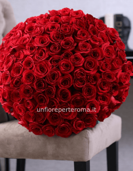 100 Rose rosse gambo lungo