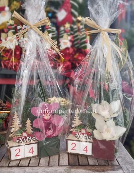 Fiori orchidea in composizione naturale natalizia calendario