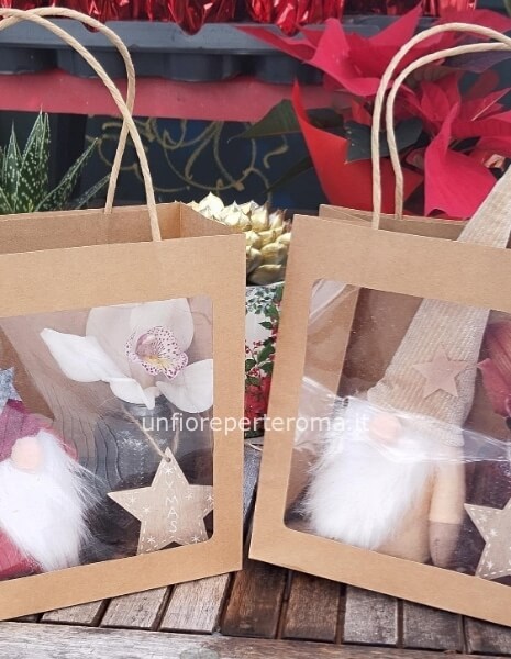 Elfo peluche con fiore Cimbidium in box regalo